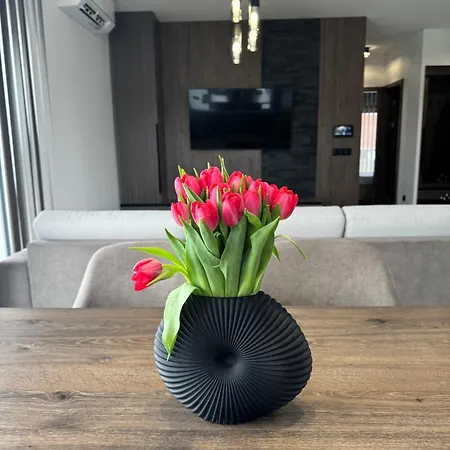 Bodu Vendeghaz Balatonbereny