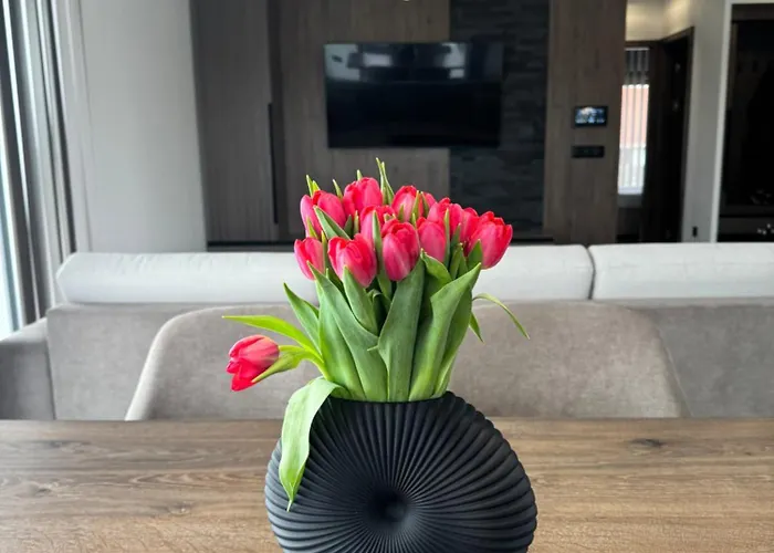 Bodu Vendeghaz Balatonbereny